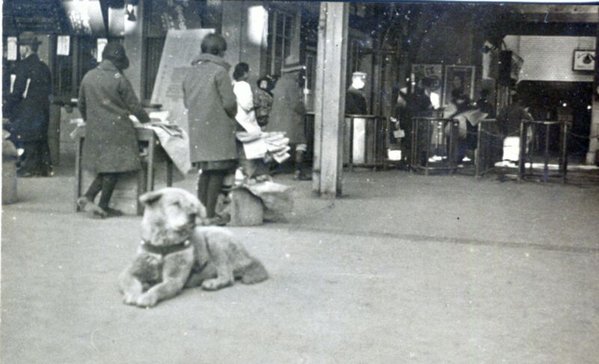 The Real Hachi - 1934 - Train Station