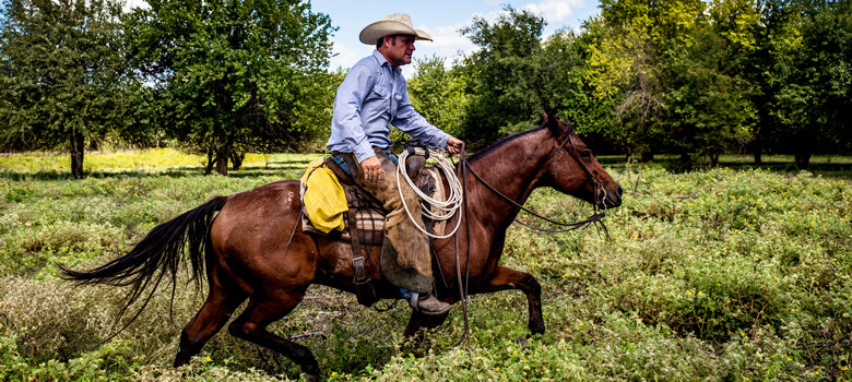 The Cowboy Way’s Booger Brown Chosen for “Road to the Horse”