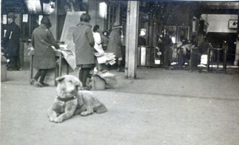 A Japanese Family Discovers a Rare Photo of the Real Hachi