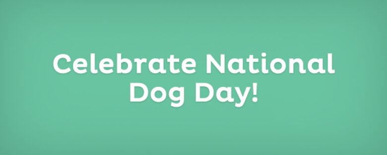 Celebrate National Dog Day!