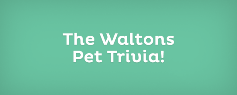 The Waltons Pet Trivia!