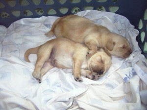 Jake hugging his sister