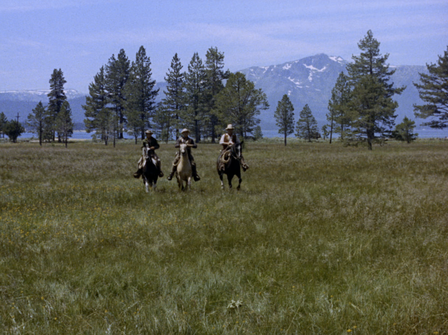 Horses in Bonanza