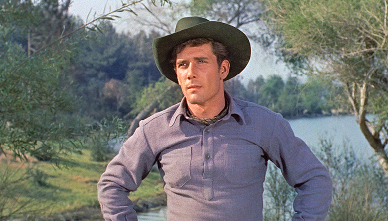 Robert Fuller in Laramie