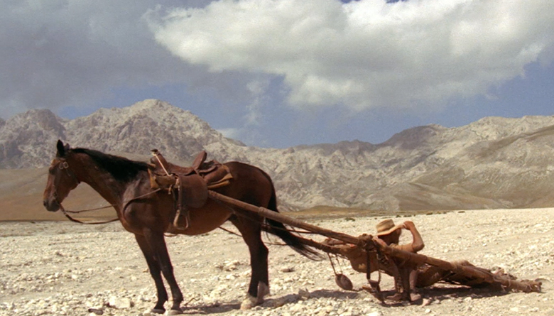 Horse from Trinity is Still my Name