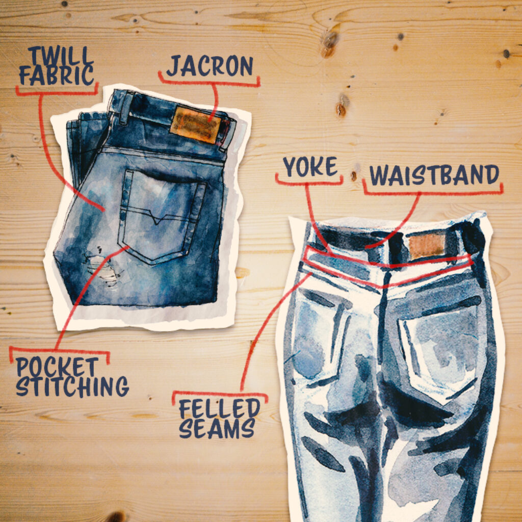 Anatomy of Denim Jeans Backside of the Jeans