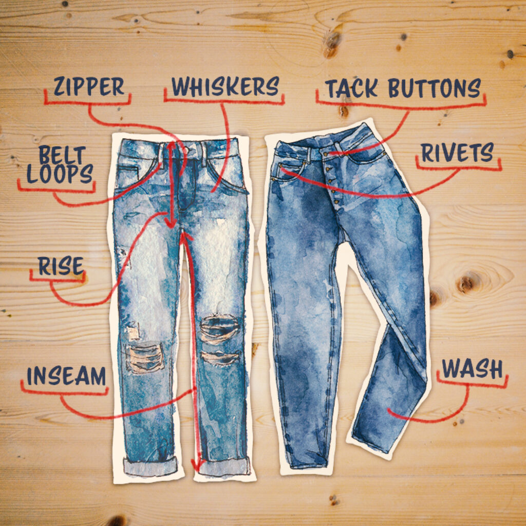 Anatomy of Denim Jeans the frontside of the Jeans