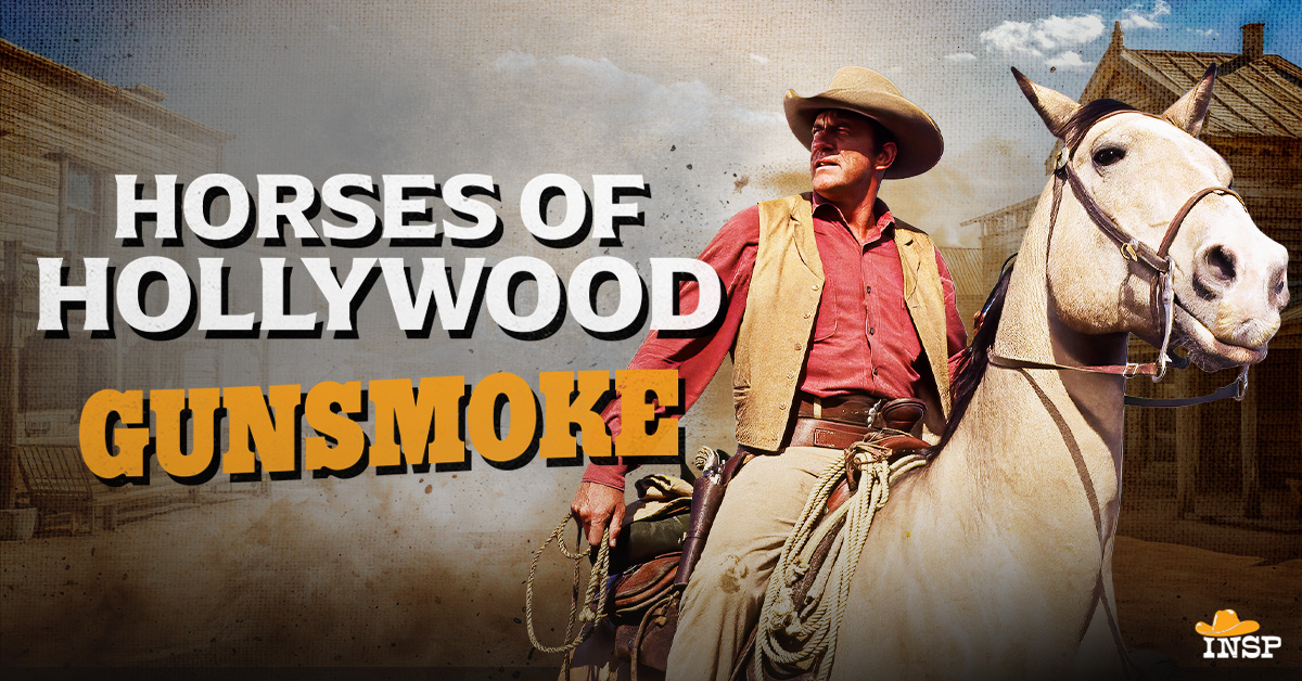 Horses of Hollywood Matt Dillon’s Trusty Steed INSP