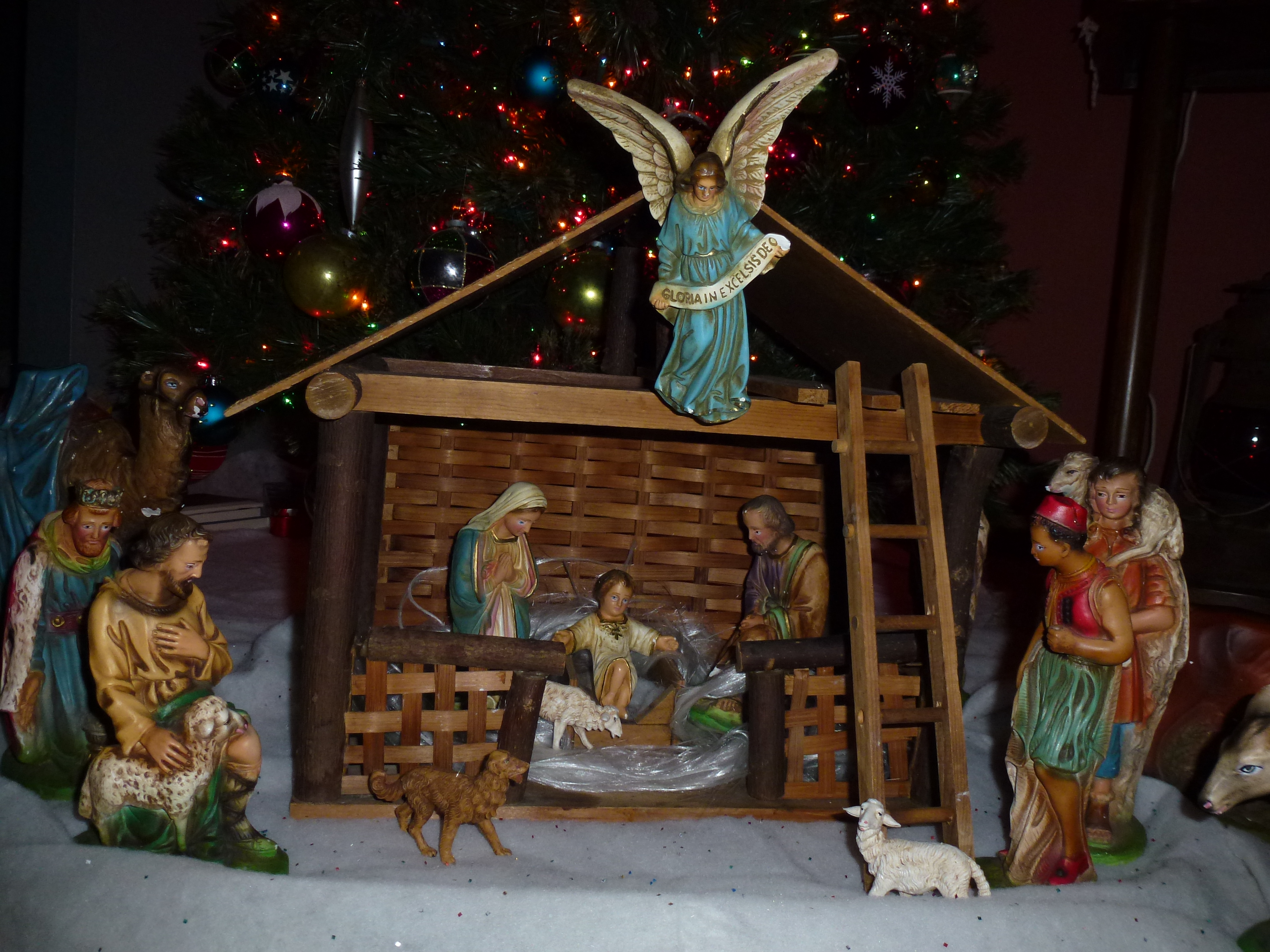 Annie Camera 086sert