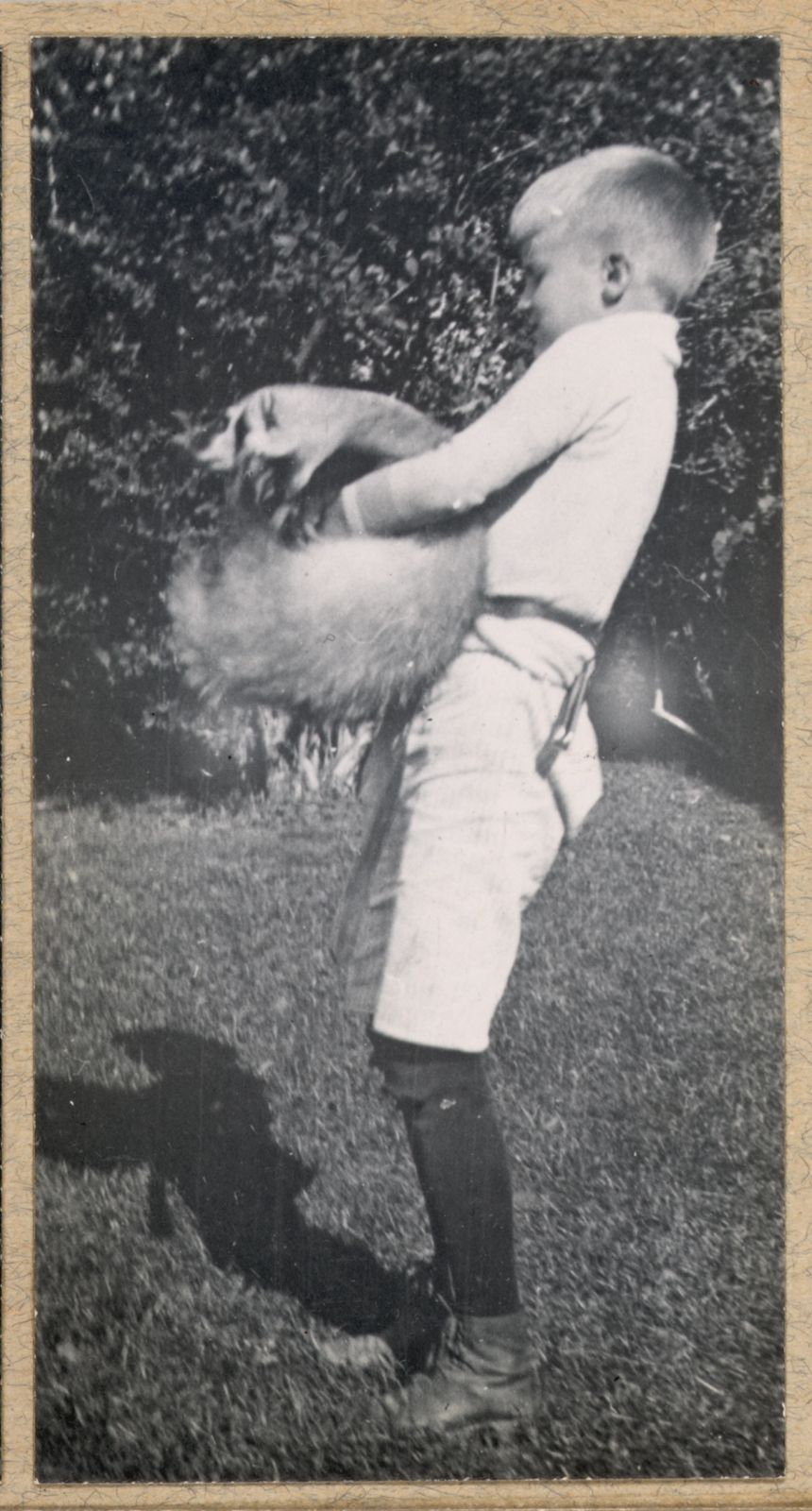 Archie Roosevelt with Josiah