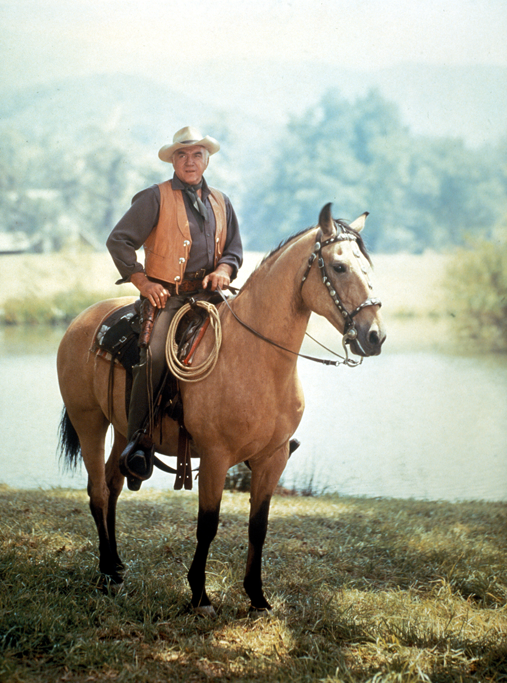 Bonanza tv show - cast, where to watch INSP