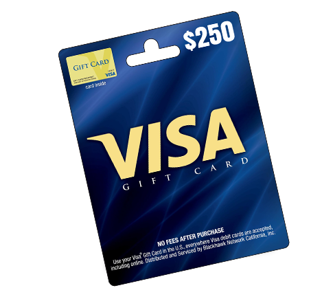 $250 VISA